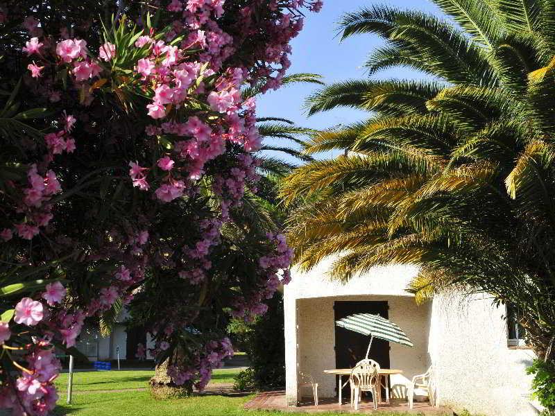 Hotel Le Domaine Du Mas Blanc By Popinns Alenya Bagian luar foto