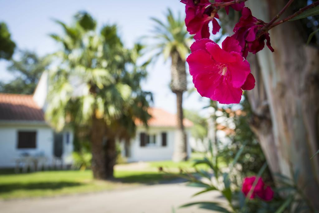 Hotel Le Domaine Du Mas Blanc By Popinns Alenya Bagian luar foto
